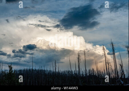 Eine große Gewitterwolken emassing über Lake Yellowstone an einem Sommerabend. Stockfoto