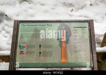 Kalifornien, USA - 3. April 2019: Informationen Zeichen in den Sequoia National Park in Kalifornien. Der Park ist bekannt für seine gigantischen Sequoia Bäumen. USA Stockfoto