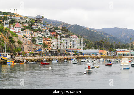 Avalon, Kalifornien, USA - 31. Mai 2017: Die grösste Stadt auf dem Santa Catalina Island mit vielen Häusern in den Hügeln und viele Boote in der Marina. Stockfoto