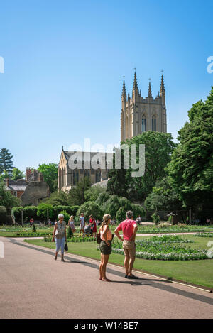 Suffolk UK, Aussicht im Sommer der Abbey Gardens und den Turm von St. Edmundsbury Cathedral in Bury St. Edmunds, Suffolk, England, UK. Stockfoto