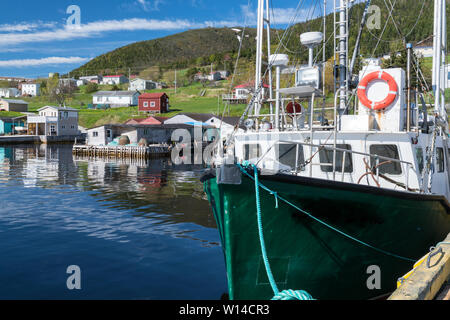 Hafen von Woody Point Fischerdorf in Gros Morne, Neufundland, Kanada Stockfoto