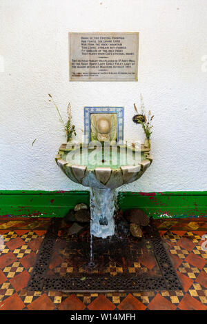 Wasser aus der Feder am St Ann's Gut in die Malvern Hills, Worcestershire, England Stockfoto