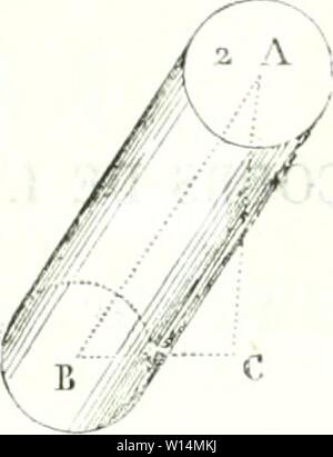 Archiv Bild von Seite 20 der Wörterbuch des Sciences mathématiques pures. Wörterbuch des sciences mathÃmatiques pures et appliquÃes. dictionnairedess 01 mont Jahr: 1838 Begriffe PRELIMINAIRES. '' - 7 Le cylindre est un solide lerminÃ par trois Oberflächen, Lorsque l'Ax est perpendicuhaire à la base Il est Oblique dont Deux sind '"; et parallÃ¨les entre Elles, et dont • la troisiÃ¨me est Convex et Circulaire. Auf peut le Konsi-dÃrer comme un prisme dont les bases seraient des Po-i.X Stockfoto