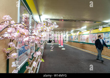 Kitakami Station ist ein Bahnhof in der Stadt Kitakami, Iwate Präfektur, Japan Stockfoto