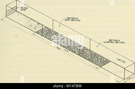 Archiv Bild von Seite 26 der Entwicklung eines tragbaren Sand. Entwicklung eines tragbaren Sandfang für den Einsatz im nearshore. developmentofpor 00 rosa Jahr: 1989 Meter in den Zufluss Linien installiert. Leitbleche und eine Fasermatte auf der Wasseroberfläche am Tank Eingang wurden die gleichmäßigen System verwendet. 32. Für den hydraulischen Wirkungsgrad Tests, ein 10-m Länge aus Kunststoff grass mat Teppich ca. 1,3 cm in der Höhe wurde auf dem Boden des Behälters eine einheitliche Rauhigkeit zu erstellen geklebt. Der Kunststoff grass mat Teppich war emplaced über beide Seiten des mittleren Teils des flume Wi zu verlängern. Stockfoto