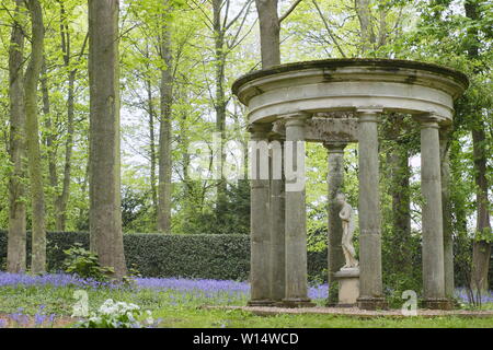 Hyacinthoides. Bluebells umgeben einen klassischen Tempel im Wald bei Renishaw Hall und Gärten, Derbyshire, England, UK. Stockfoto