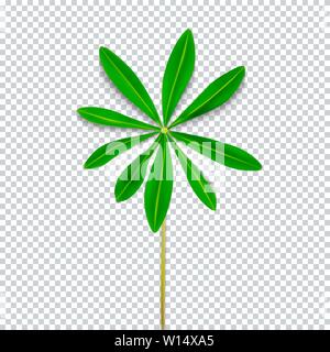 Naturalistische bunte Lupine Blatt auf transparentem Hintergrund. Vector Illustration Stock Vektor