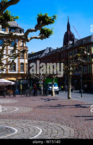 Bewachsene Platanen am Hauptwache Plaza in Frankfurt am Main Stockfoto