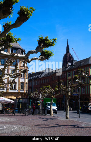 Bewachsene Platanen am Hauptwache Plaza in Frankfurt am Main Stockfoto