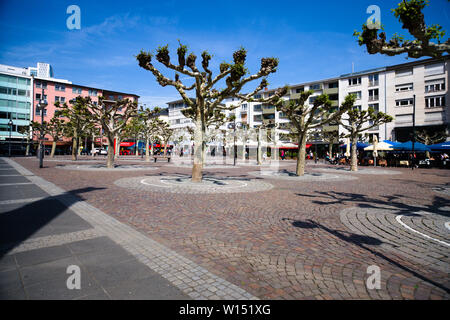 Bewachsene Platanen am Hauptwache Plaza in Frankfurt am Main Stockfoto