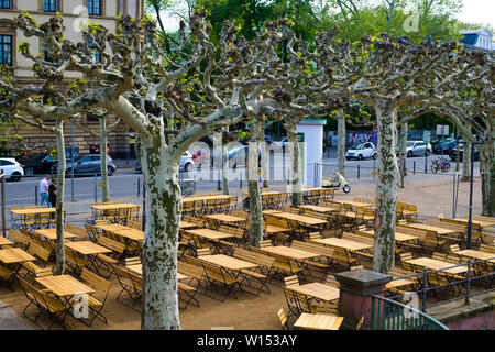 Bewachsene Platanen und Picknicktische am Hauptwache Plaza in Frankfurt am Main Stockfoto