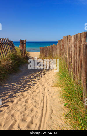 Ence zwischen Dünen in Apulien, Italien. Der Regionale Naturpark Dune Costiere (Torre Canne) umfasst die Gebiete von Ostuni und Fasano entlang acht Stockfoto