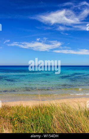 Apulien Strand: Der regionale Naturpark Dune Costiere, Italien. Von Torre Canne Torre San Leonardo der Park umfasst acht Kilometer Küste. Stockfoto