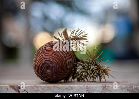 A Pine Cone auf den moosigen Boden Stein. Stockfoto