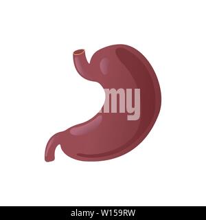 Vektor realistische menschlichen Magen Symbol auf weißem Hintergrund Stock Vektor