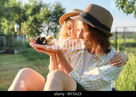 Land rustikalen Stil, glückliche Mutter und Tochter zusammen mit neugeborenen Baby Hühner. Natur, Bauernhof, gesunde Lebensweise und Ernährung, goldenen Stunde. Stockfoto