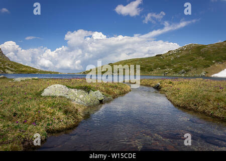 Low Angle View von Rila Mountain Creek mit transparentem Wasser und roten Felsen, fließt in den See, sonnenbeschienenen Landschaft und lila Blüten Stockfoto