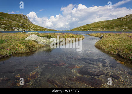 Low Angle View von Rila Mountain Creek mit transparentem Wasser und roten Felsen, fließt in den See, sonnenbeschienenen Landschaft und lila Blüten Stockfoto