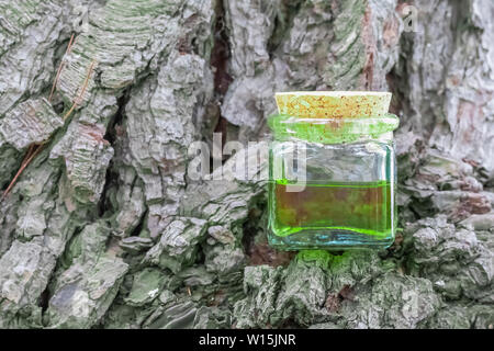 Glasflasche mit Korken Kappe mit grün-gelbe Nektar Öl. Auf dem Hintergrund der Rinde von Nadelholz. Das Konzept der Nutzung natürlicher ingre Stockfoto
