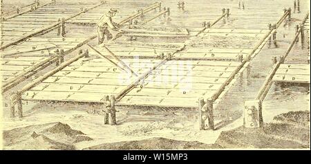 Archiv Bild ab Seite 166 Der Entwicklung und Schutz der. Die Entwicklung und den Schutz der Auster in Maryland. developmentprote 00 broo Jahr: 1884 MARYLAM) OYSTER COMMISSIOX. Platte XII. Â ¢ SSSS ' tf)':."â â ih Si ! 3: o-; ist-- KKil SIND I. m.i ich; k -'. FlIiVUE 4. Stockfoto