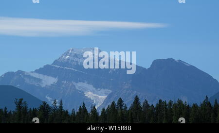 Rocky Mountains umgeben von Wald Stockfoto