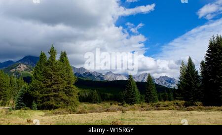 Rocky Mountains umgeben von Wald Stockfoto