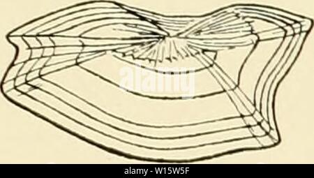 Archiv Bild von Seite 182 Die Beteiligung Deutschlands an der. Die Beteiligung Deutschlands an der internationalen Vollständigen: Jahresbericht. diebeteiligungde4508 5Mose Jahr: 1905 Tafel Y B i. op. Stockfoto