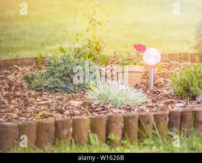 Blumenbeet mit unterschiedlichen Blumen mit Rindenmulch im Sommer abgedeckt. Solar Lampe in der Mitte. Stockfoto