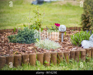 Blumenbeet mit unterschiedlichen Blumen mit Rindenmulch im Sommer abgedeckt. Solar Lampe in der Mitte. Stockfoto