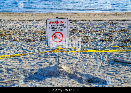 Strand geschlossen, nicht schwimmen, Warnzeichen, Sunset Beach, Vancouver, British Columbia, Kanada Stockfoto