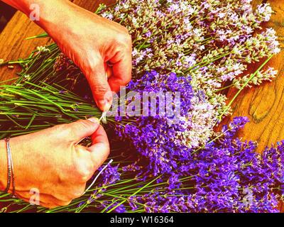 Viele Lila levander Blume auf alten Holztisch. Schöne Lavendel Blume von meinem Blumengarten Stockfoto