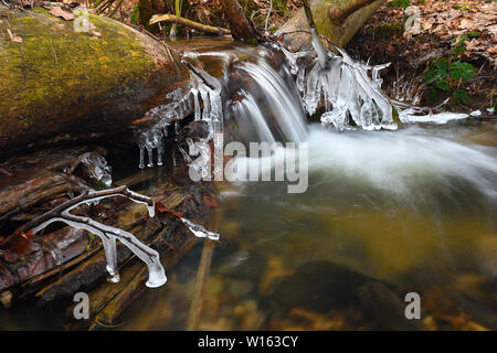 Eiszapfen hängen an Zweigen und eisigen Rinde über Chili rapid Stream. Winter Mountain Stream lange dünne Eiszapfen hängen von gefallenen Stamm. Stockfoto