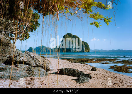 Philippinen Natur Strand bei Ebbe, Gartenlaube aus Holz am Baum, erstaunliche Pinagbuyutan Insel im Hintergrund. Exotische Natur Meer in El Nido Stockfoto