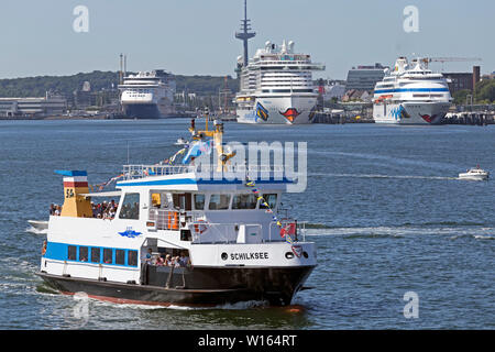 Kreuzfahrt Schiffe Color Magic, AIDA prima und AIDA Cara, Fjord, Fähre, 125. Kieler Woche, Kiel, Schleswig-Holstein, Deutschland Stockfoto