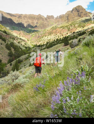 Wandern in Richtung Steens Mountain an der Pike Creek Trail in der Nähe des östlichen Oregon Alvord Wüste Stockfoto