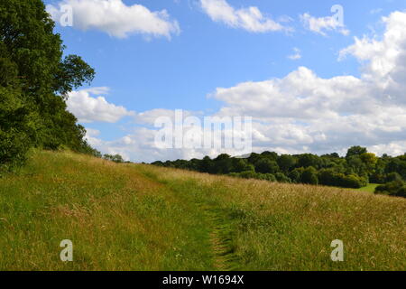 Wiesen und Wanderwege zwischen Das Downe und Biggin Hill Airport, wo Charles Darwin im 19. Jahrhundert beobachtet. Jetzt wertvolle natürliche Landschaft Stockfoto