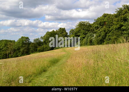 Wiesen und Wanderwege zwischen Das Downe und Biggin Hill Airport, wo Charles Darwin im 19. Jahrhundert beobachtet. Jetzt wertvolle natürliche Landschaft Stockfoto