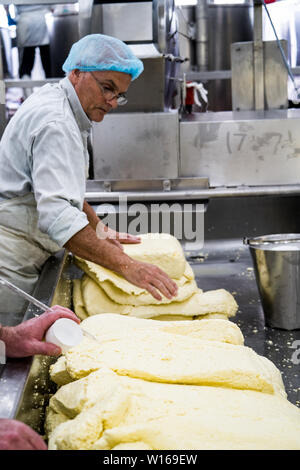 Cheddaring Quark. Quickes Käse, Devon, Großbritannien. Eine traditionelle kleine handwerkliche Milchprodukte und Käse Teekocher im Jahre 1540 gegründet Stockfoto