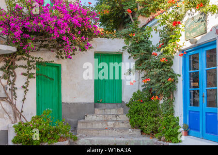 Traditionelle Gasse in Sigri Village, Insel Lesvos. Farbige Türen und bunten Pflanzen sind überall in traditionellen Dörfern Lesbos' gesehen werden. Stockfoto