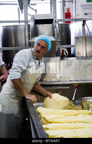 Fräsen Quark. Quickes Käse, Devon, Großbritannien. Eine traditionelle kleine handwerkliche Milchprodukte und Käse Teekocher im Jahre 1540 gegründet Stockfoto