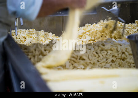 Fräsen Quark. Quickes Käse, Devon, Großbritannien. Eine traditionelle kleine handwerkliche Milchprodukte und Käse Teekocher im Jahre 1540 gegründet Stockfoto