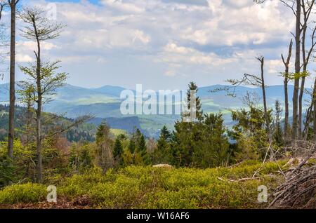 Schöner Frühling Berglandschaft. Grüne Täler zwischen den Hügeln. Stockfoto