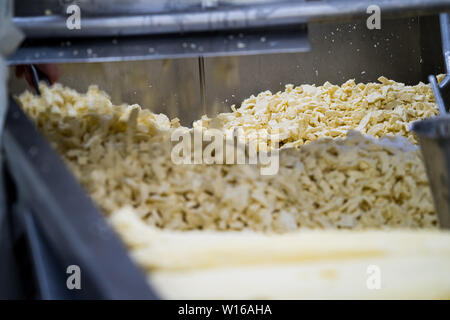 Fräsen Quark. Quickes Käse, Devon, Großbritannien. Eine traditionelle kleine handwerkliche Milchprodukte und Käse Teekocher im Jahre 1540 gegründet Stockfoto