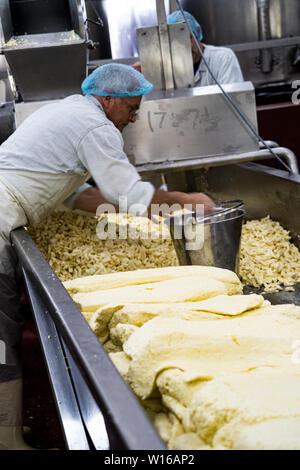 Fräsen Quark. Quickes Käse, Devon, Großbritannien. Eine traditionelle kleine handwerkliche Milchprodukte und Käse Teekocher im Jahre 1540 gegründet Stockfoto