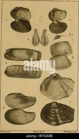 Archiv Bild von Seite 242 des Wörterbuch des sciences naturelles, Dans. Stockfoto