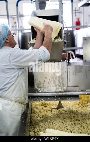 Fräsen Quark. Quickes Käse, Devon, Großbritannien. Eine traditionelle kleine handwerkliche Milchprodukte und Käse Teekocher im Jahre 1540 gegründet Stockfoto