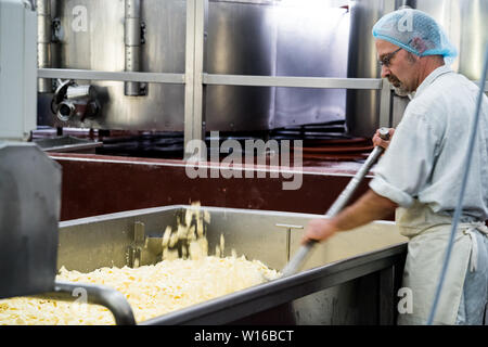 Fräsen Quark. Quickes Käse, Devon, Großbritannien. Eine traditionelle kleine handwerkliche Milchprodukte und Käse Teekocher im Jahre 1540 gegründet Stockfoto