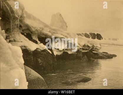 Archiv Bild von Seite 246 des Deuxième expédition antarctique Francaise (1908-1910). Stockfoto