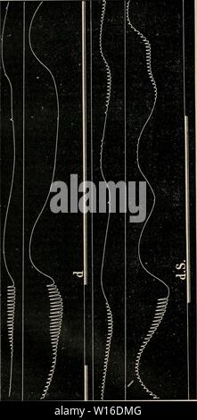 Archiv Bild von Seite 261 Wörterbuch de Physiologie (1900). Wörterbuch de Physiologie. dictionnairedeph 04 reiche Jahr: 1900 252 COEUR. iiisme Zentrale des mouvements Volontaires, et l'action des Centres nerveux sur le Chi-misme respiratoire. a&lt; s o 5 b'.2 £' 3I!' Fano et Fa YOD. De quelques Mehrfachrapport entre les propriétés cotilractiles électriques et les propriétés des oreillettes du coeur. (A. d. B., IX, 143, 1888.) - Fano. Di alcuni fondamenti fisiologici del pensiero. {Rivista di Filosofia Scientifica, ix, 19.3, 1890.) - Herzen. Le rôle Stockfoto