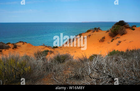 SkipJack Point ist in Francois Nationalpark Western Australia. Orange Sanddünen Stockfoto